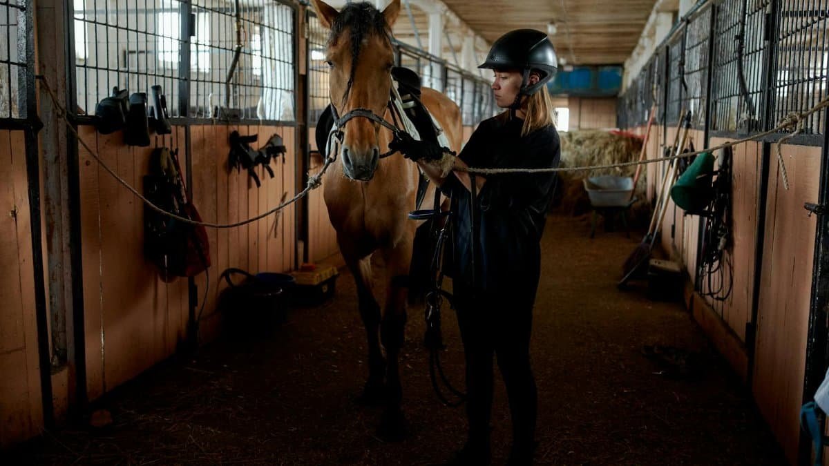 A woman in riding gear prepares a horse in an indoor stable setting, focusing on equestrian care.