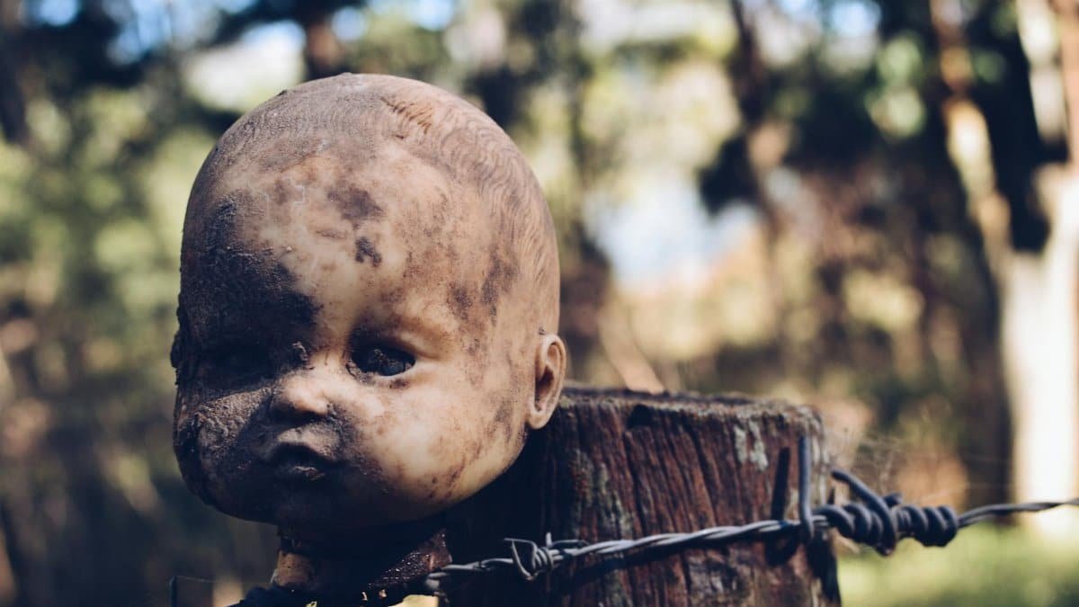 A weathered doll head sits on a barbed wire fence in a mysterious outdoor setting.