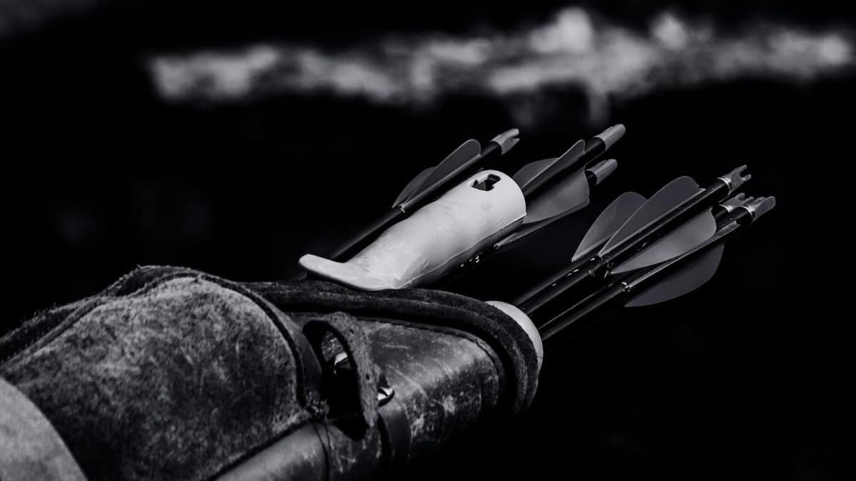 Dramatic black and white photo of arrows in quiver highlighting archery equipment.