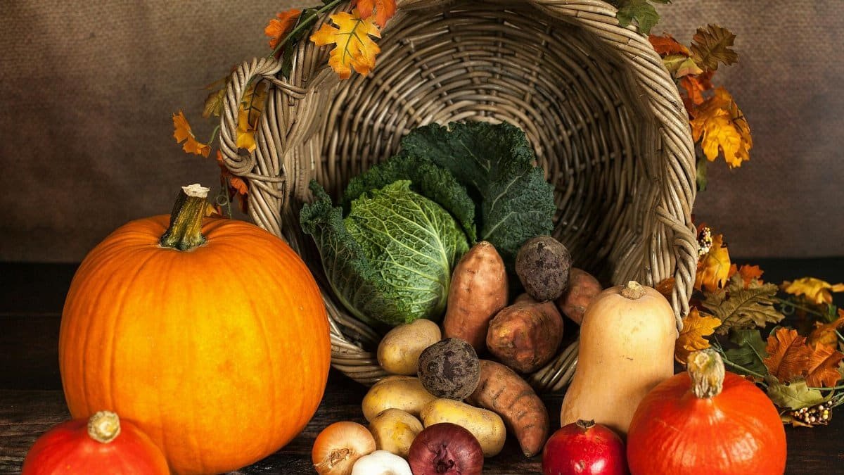 A rustic cornucopia overflowing with fresh autumn vegetables, symbolizing abundance and harvest.