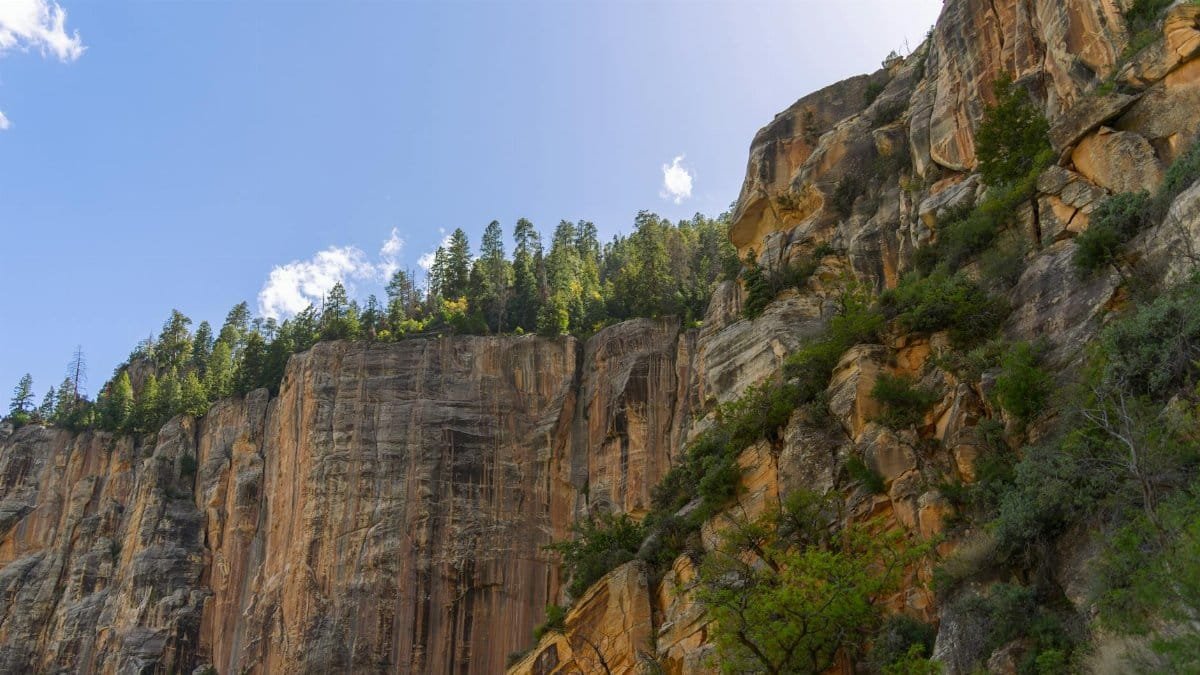 Breathtaking view of the rugged cliffs at Grand Canyon's North Rim, under a clear blue sky.