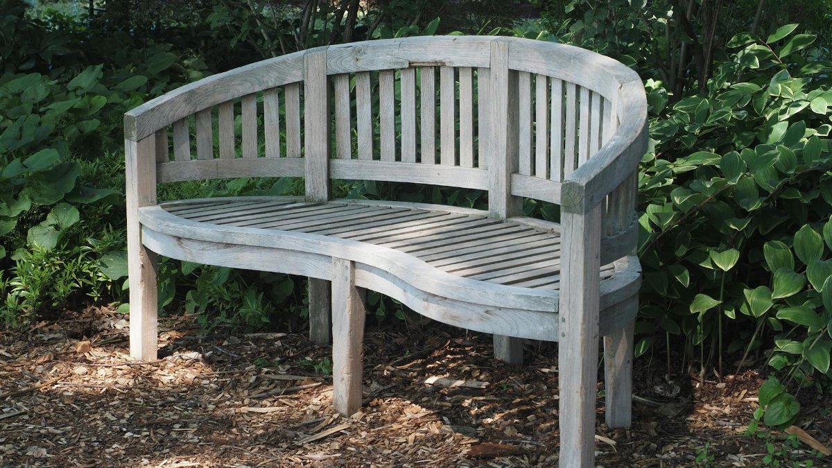 A classic wooden curved bench surrounded by lush garden greenery in Philadelphia.
