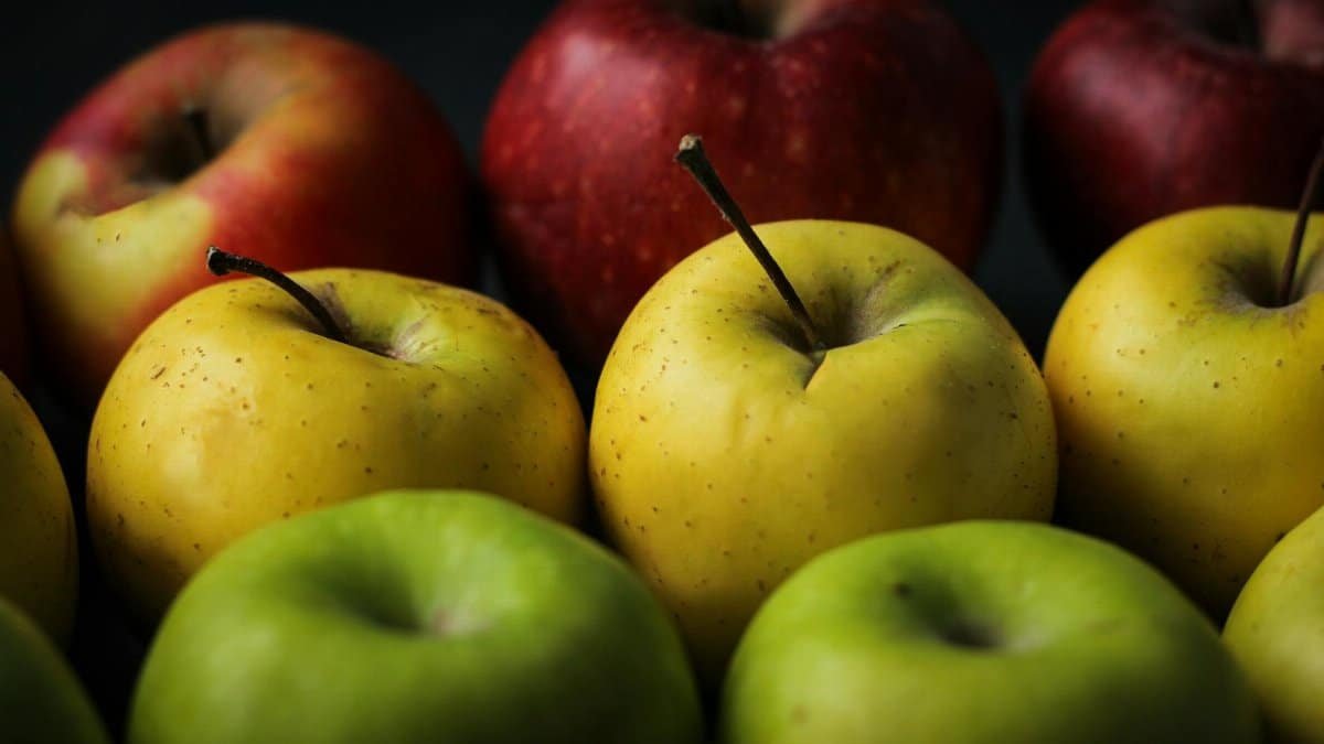 Vibrant close-up of fresh red, yellow, and green apples. Perfect for organic food themes.
