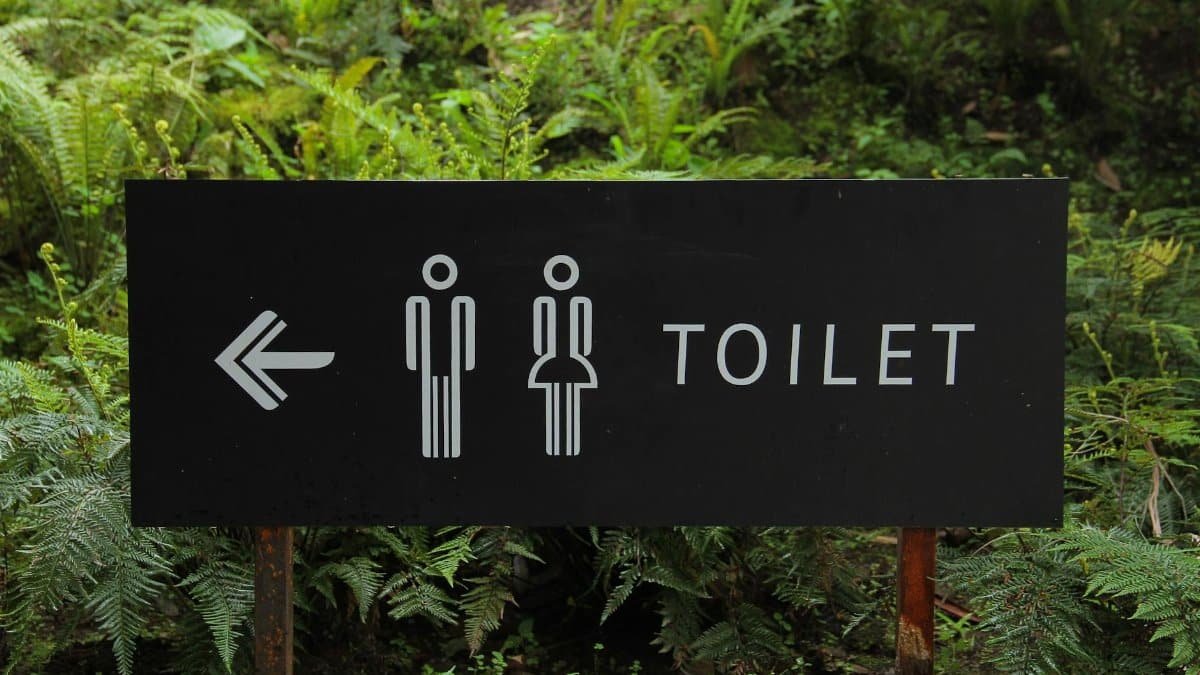 Outdoor toilet sign amidst lush ferns, indicating restroom direction.