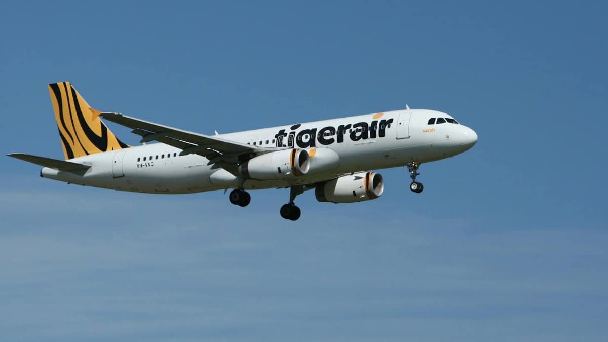 A Tigerair commercial airplane flying against a clear blue sky, showcasing aviation and travel.