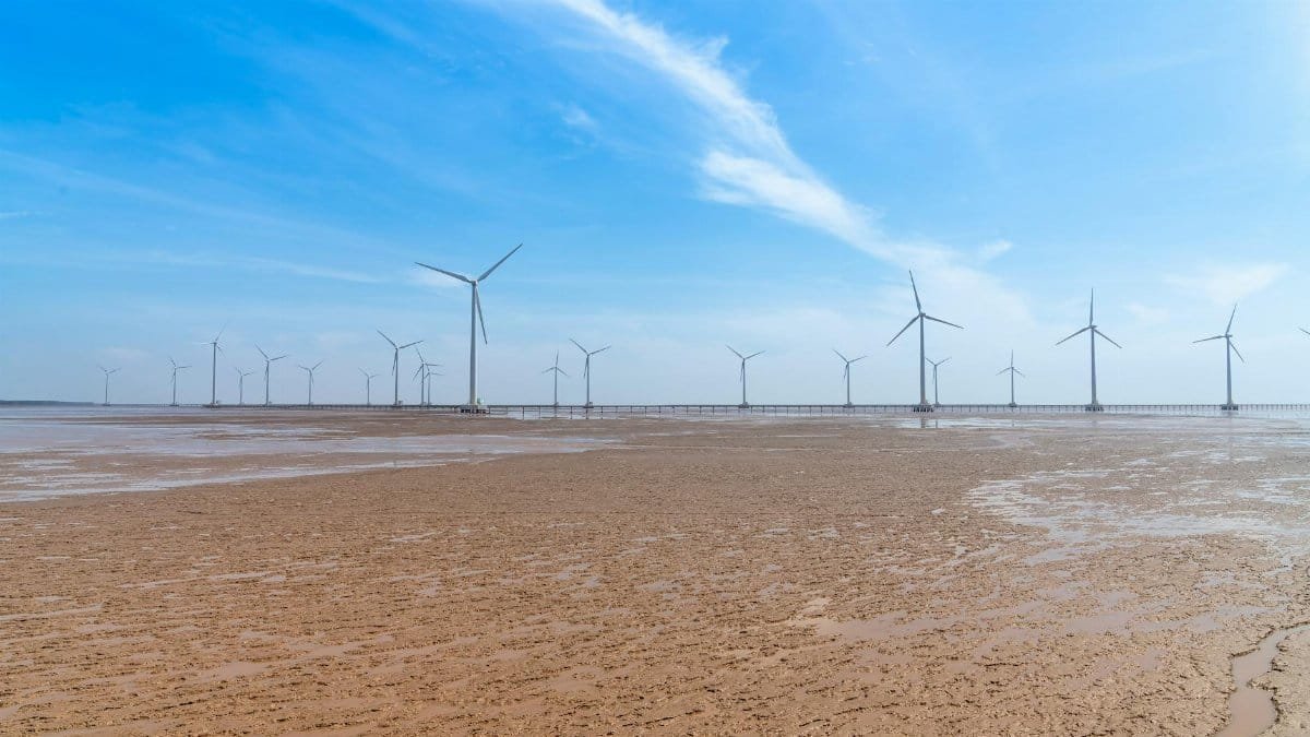 Row of wind turbines on a mudflat under a blue sky, depicting clean energy.