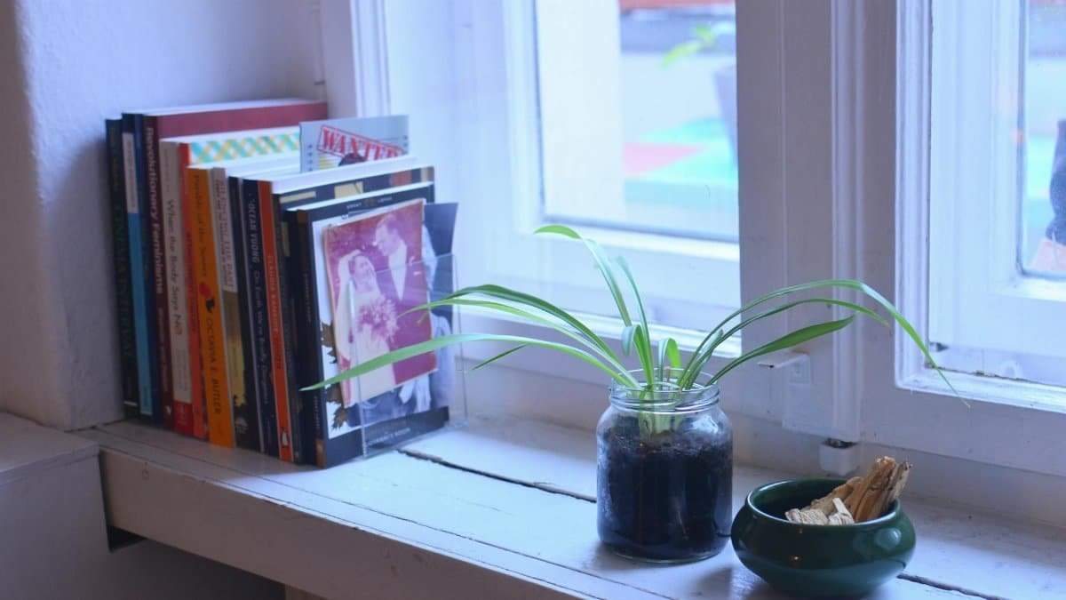 A serene windowsill featuring books, a potted plant, and a decorative bowl, perfect for home interiors.