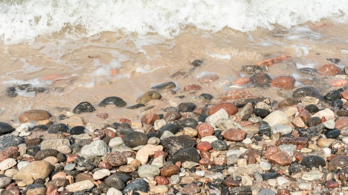 Vibrant pebble-strewn beach with gentle waves on the Baltic coast.