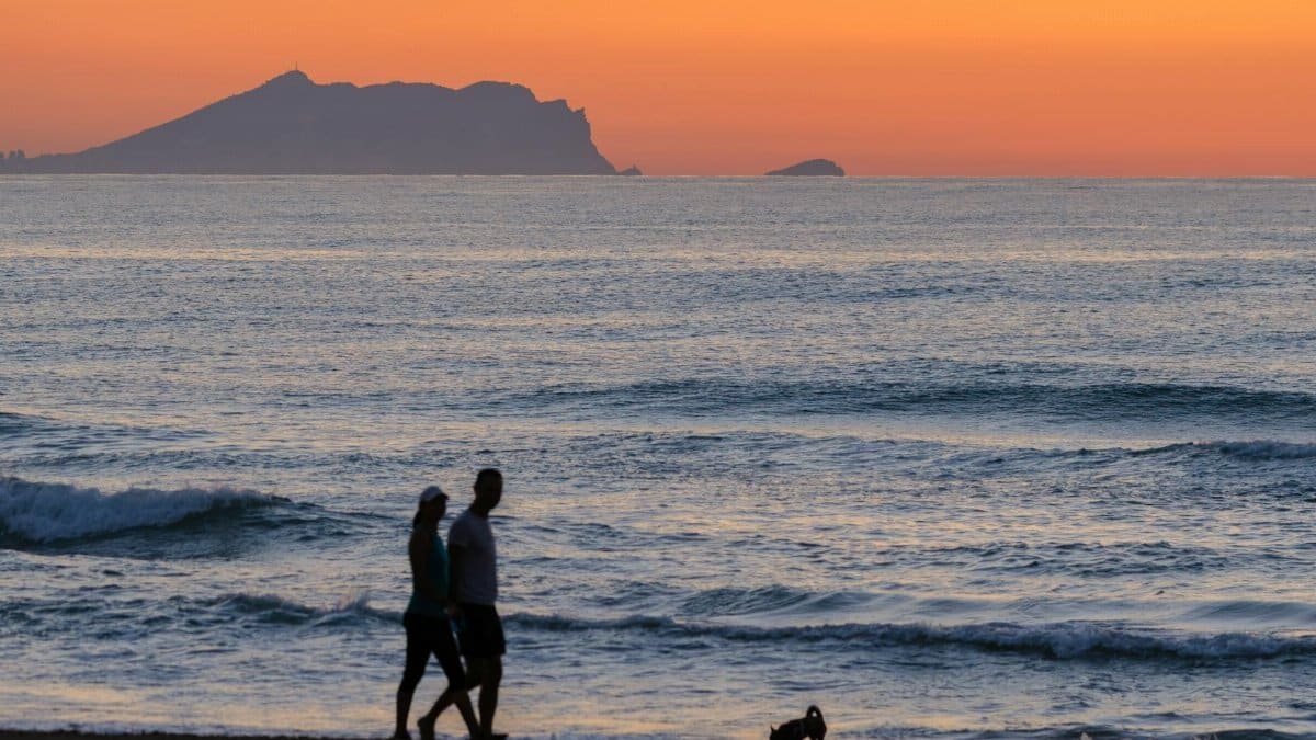 A serene beach scene with a couple walking their dog at sunset, highlighting silhouettes and the tranquil ocean.