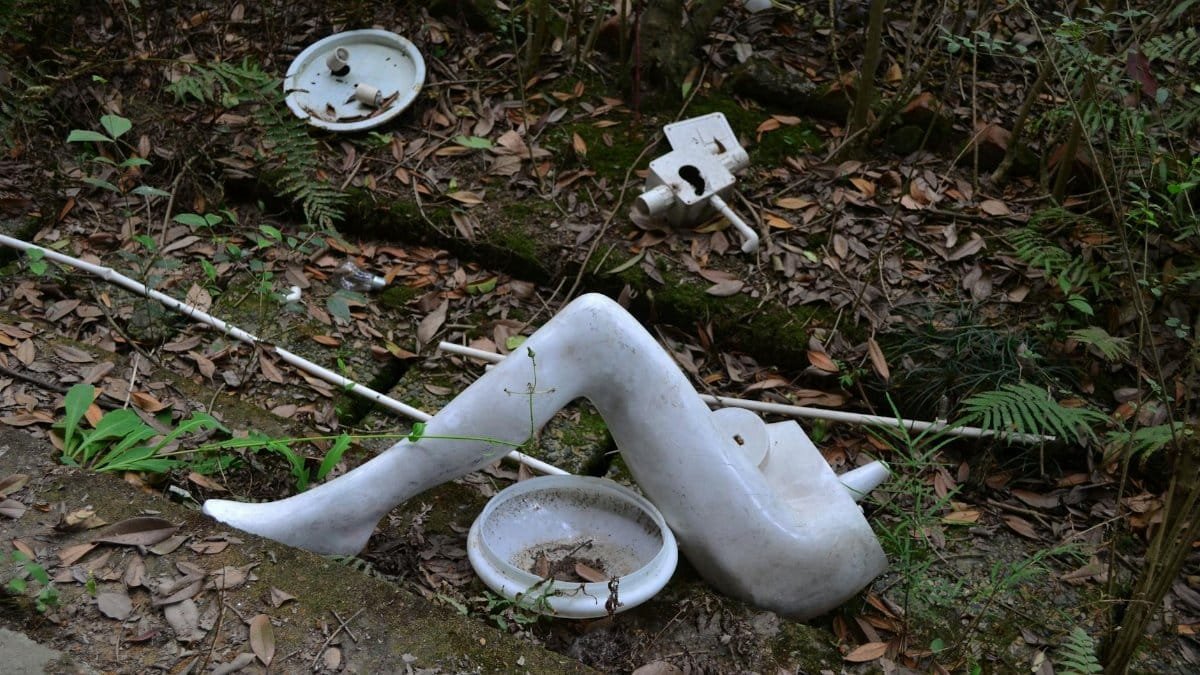 An abandoned mannequin lies among fallen leaves and foliage in a forest, creating an eerie atmosphere.