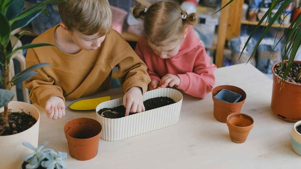 Young children engaging in gardening activities indoors, planting seeds together.
