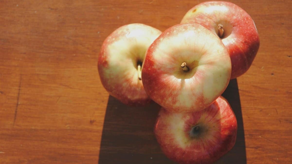 Top view composition of sweet red apples arranged together on shabby wooden table under bright sunlight