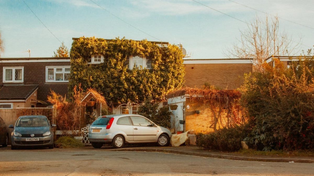 Ivy-covered house in Shrewsbury with warm sunset glow, showcasing quaint English architecture.
