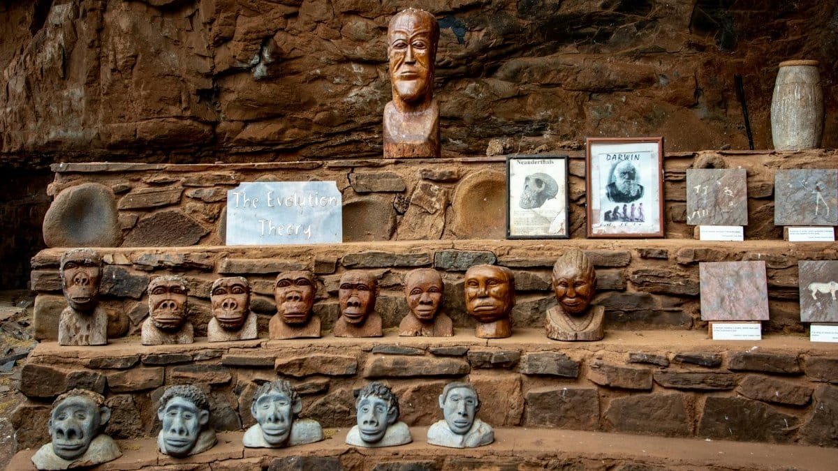 Stone carvings representing the theory of evolution, displayed in an outdoor setting.