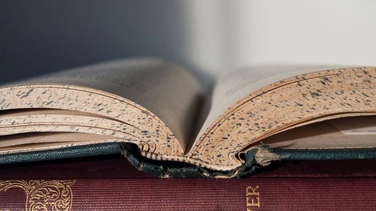 Vintage open book showing worn pages, close-up view. Ideal for literature and education themes.