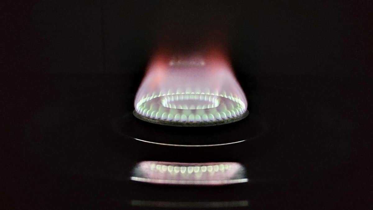 A vivid and detailed view of a gas stove flame glowing against a dark background.