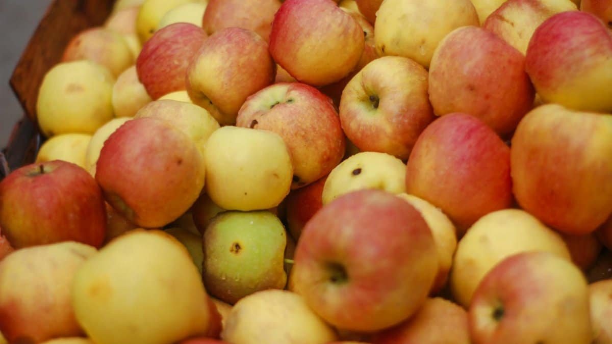 A vibrant pile of fresh apples at a market in Karachi, Pakistan, showcasing delicious and healthy produce.