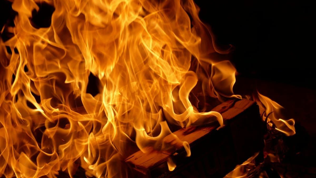 Dramatic close-up photo of bright flames against a dark background.