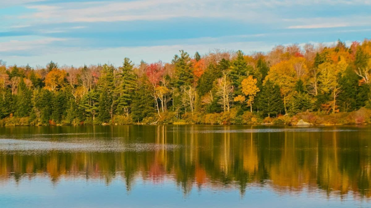 Serene autumn landscape in Vermont with colorful foliage reflected in a calm lake under a blue sky.