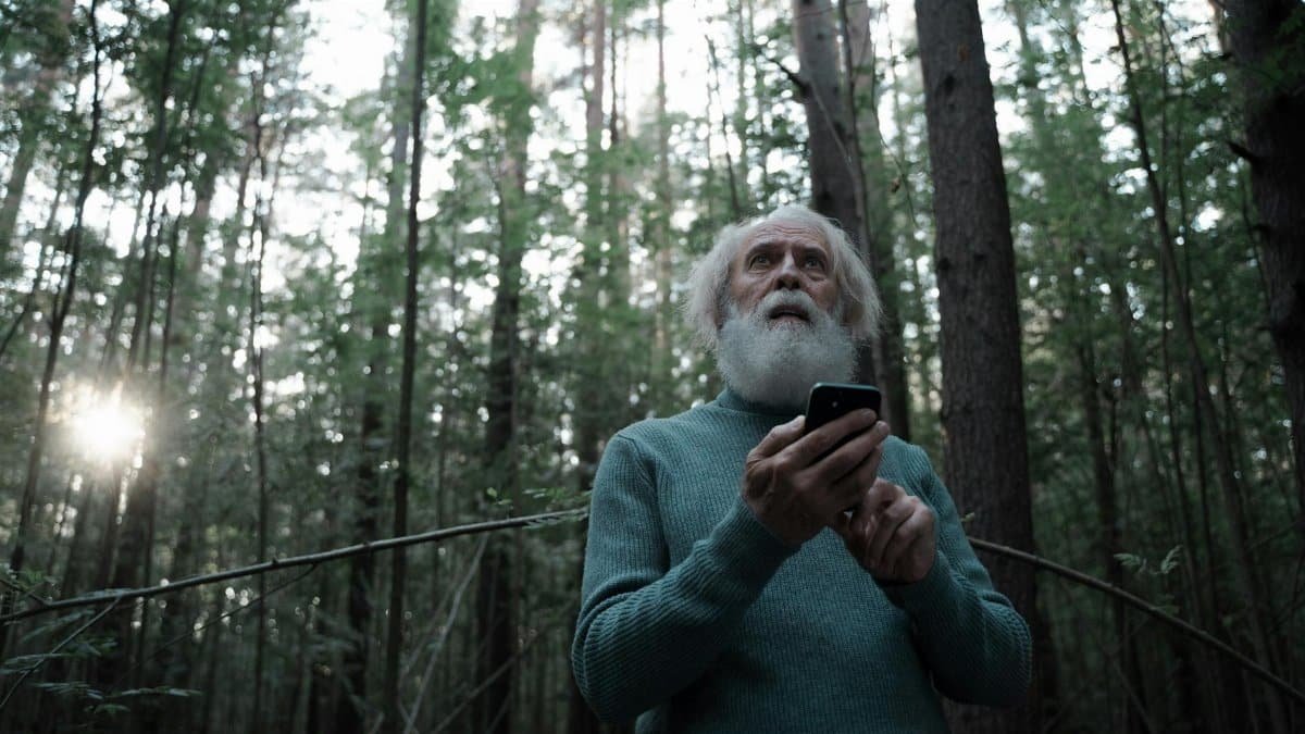 Senior man looking upwards in a forest, holding a mobile phone, surrounded by trees.