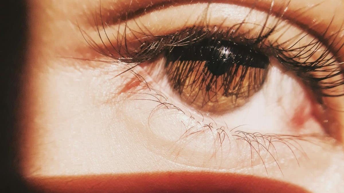 A detailed macro shot of a human eye capturing natural sunlight.