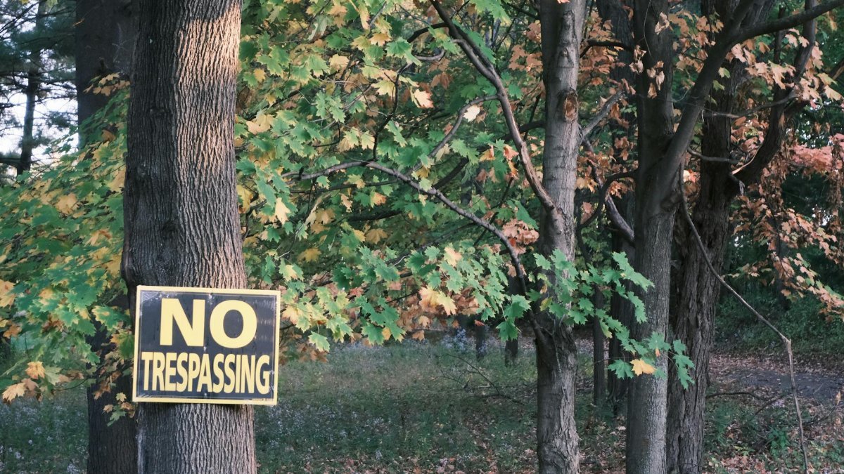 Vibrant autumn forest scene featuring a No Trespassing sign on a tree trunk.