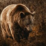 A brown bear wanders through the wilderness, capturing the essence of quiet strength.