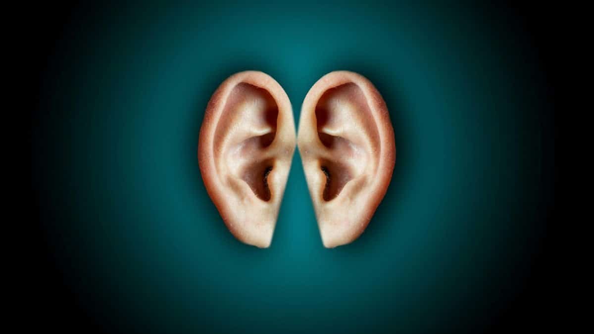 Abstract representation of symmetrical human ears against a dark background, embodying hearing and imagination.