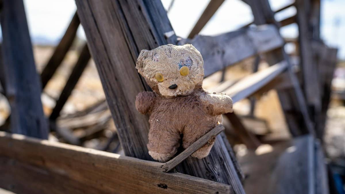 A decayed plush bear placed among weathered wooden structures outdoors.