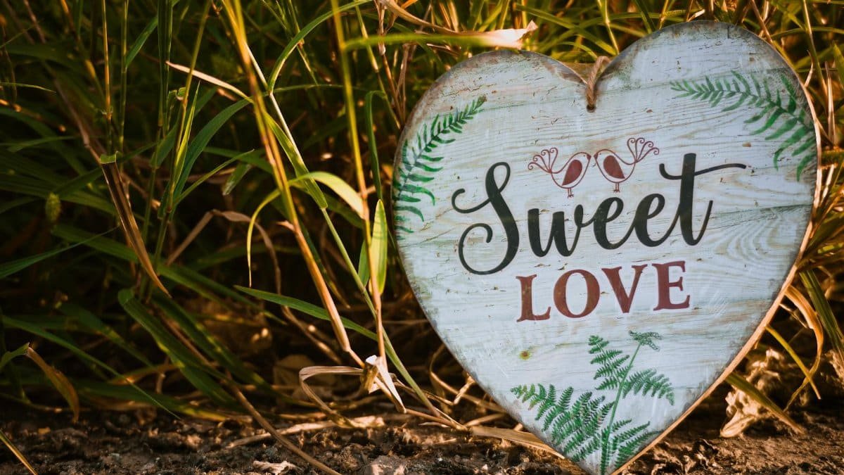 Rustic heart-shaped wooden sign with 'Sweet Love' amidst grass, ideal for romantic decor.