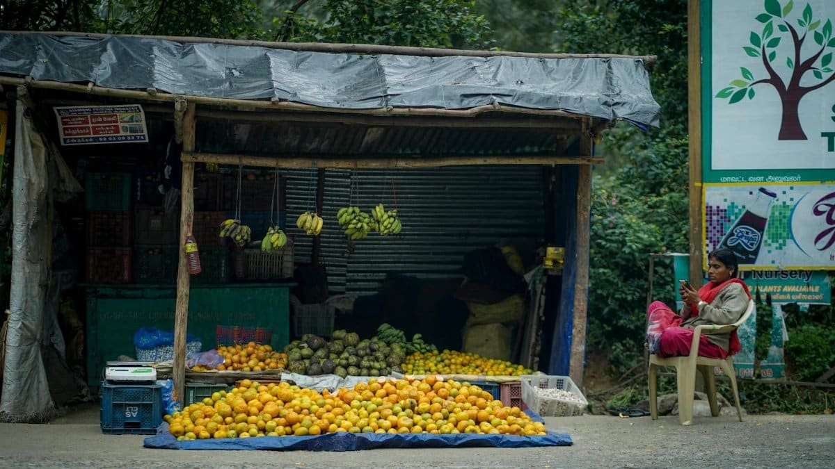 A roadside fruit stand with fresh produce, highlighting bananas and oranges available for sale.