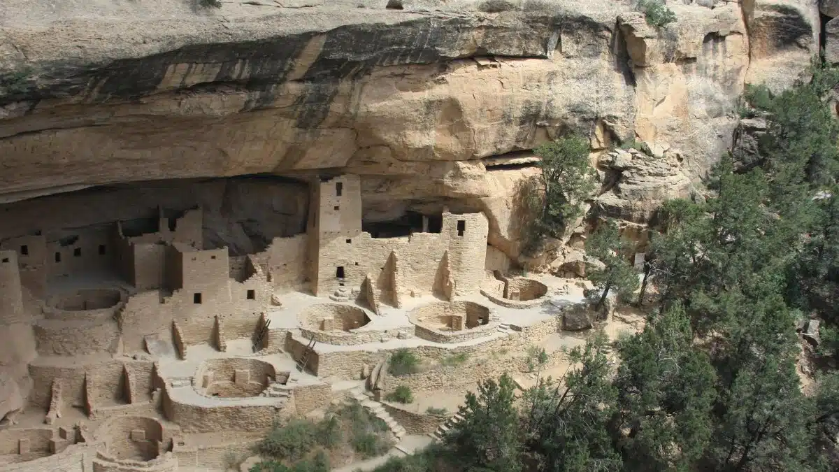 Explore the stunning Cliff Palace ruins in Mesa Verde National Park, Colorado.