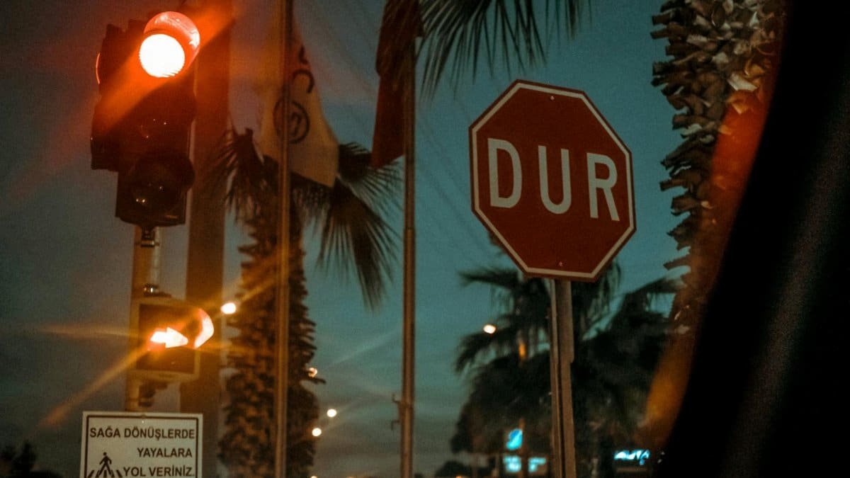 A nighttime view of a traffic signal and stop sign on a city street with palm trees.