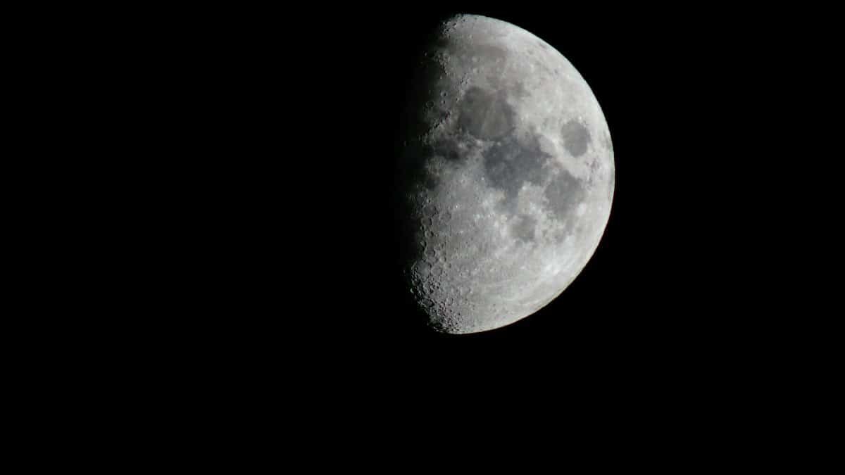 Dramatic half moon captured against a black night sky, showcasing craters and lunar details.