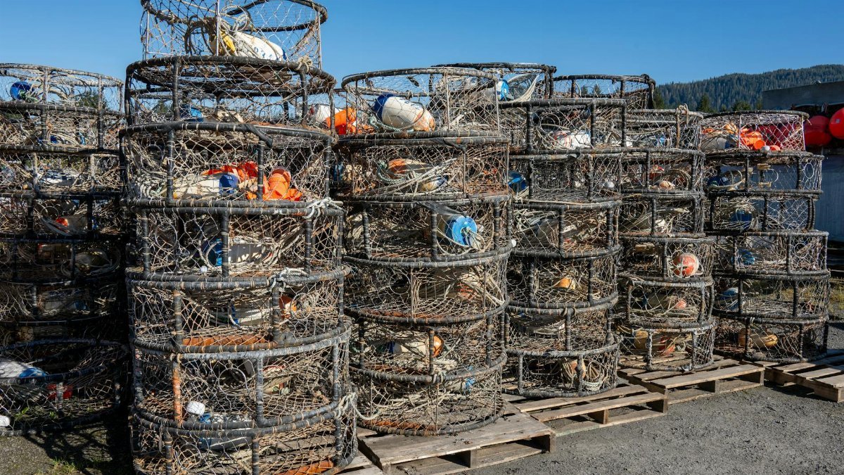 Crab pots stacked at a commercial dock in Petersburg, Alaska, reflecting local fishing industry.