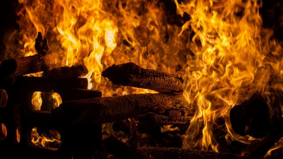 Close-up of a log fire with vibrant flames, capturing the warmth and intensity of burning wood.