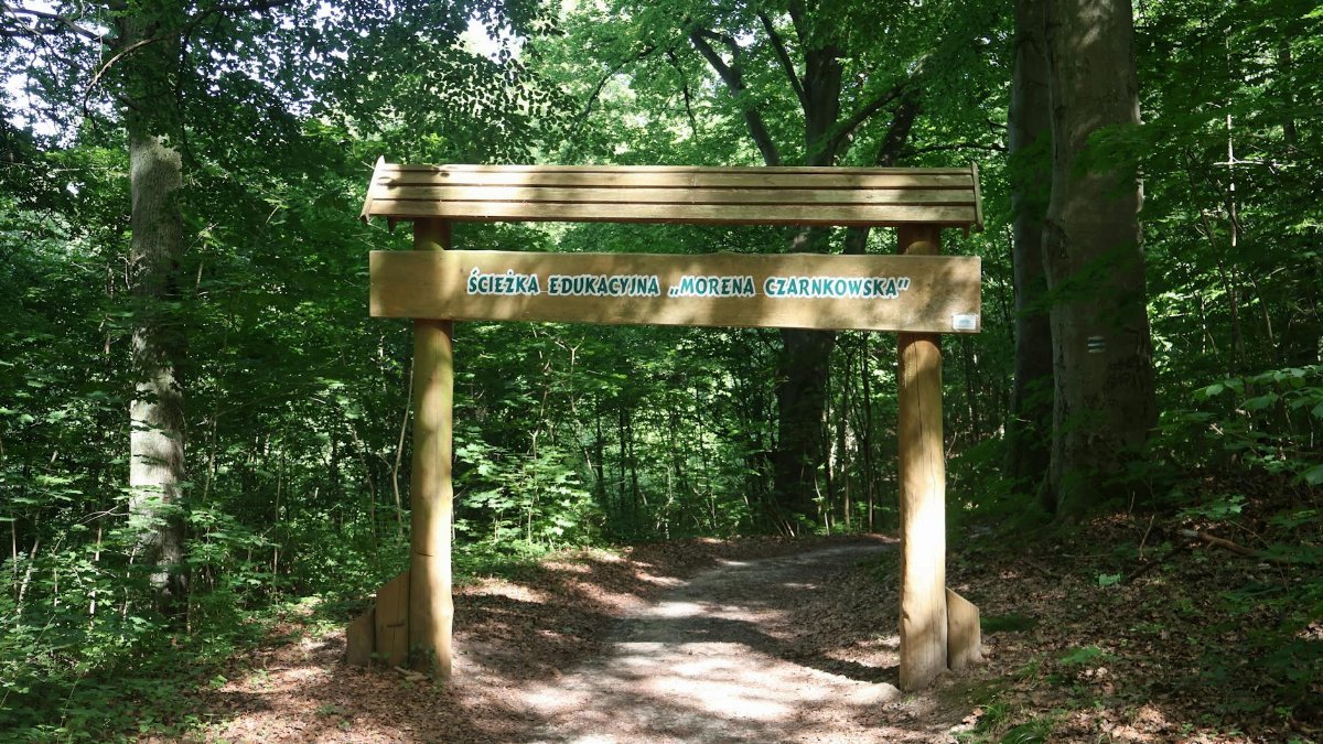 A serene forest trail entrance sign in Czarnków, Wielkopolskie, captured on a sunny day.