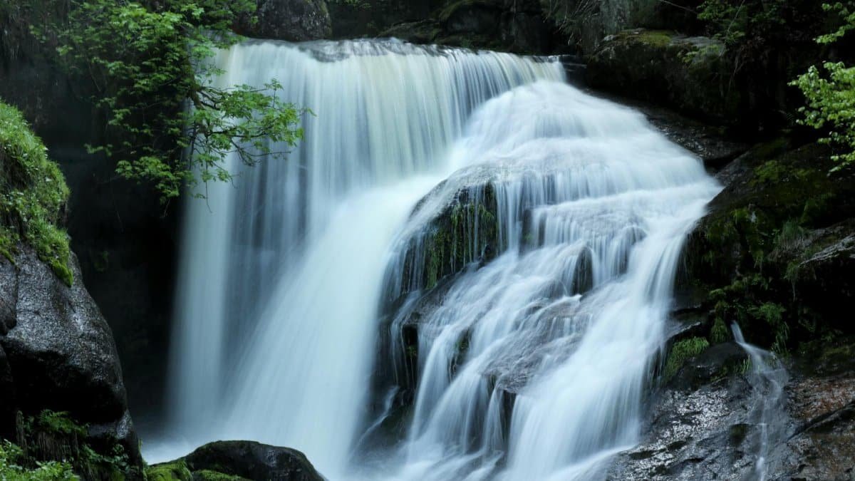 Tranquil waterfall flowing through a lush green forest, creating a peaceful scenery.