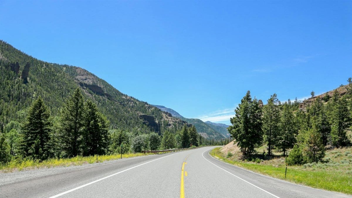 Open road through mountains and forest under a clear blue sky in Yellowstone National Park.