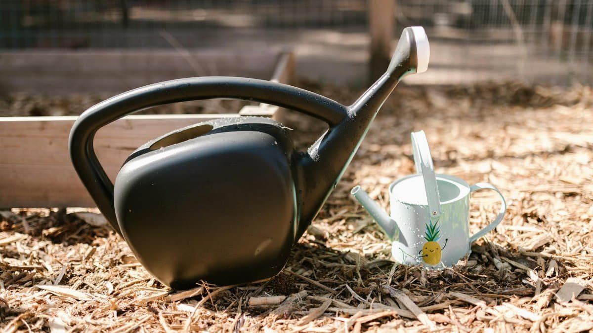 Close-up of a black watering can next to a cute metal can in a garden setting.