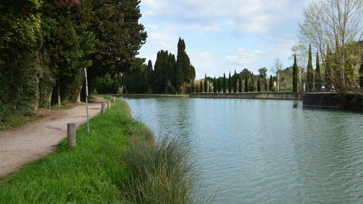 Beautiful riverside path with lush greenery along the Canal du Midi in Béziers, Occitanie, France.