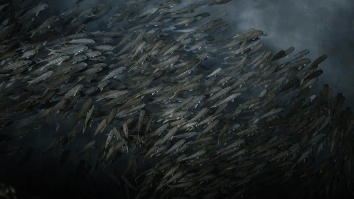A mesmerizing view of a large school of fish swimming underwater, showcasing marine life dynamics.