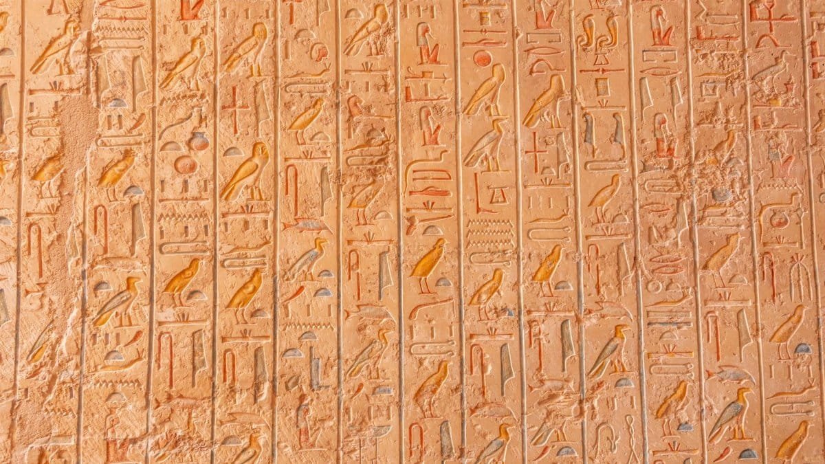 Close-up of intricate Egyptian hieroglyphs carved on a stone wall showcasing history and archaeology.