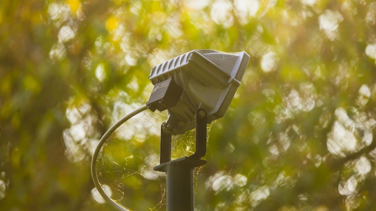 Close-up of an outdoor spotlight surrounded by blurred autumn leaves, highlighting textures and natural light.