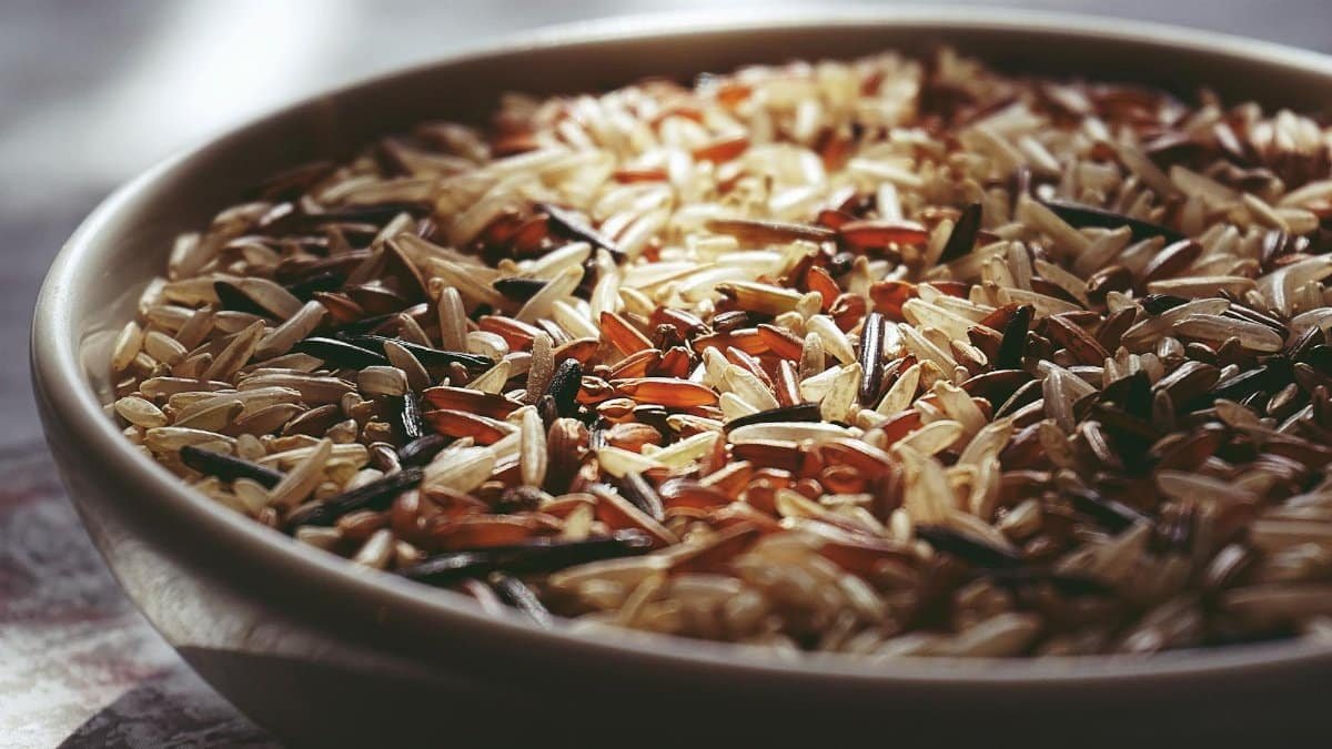 Macro shot of a ceramic bowl filled with colorful mixed wild rice, highlighting textures.