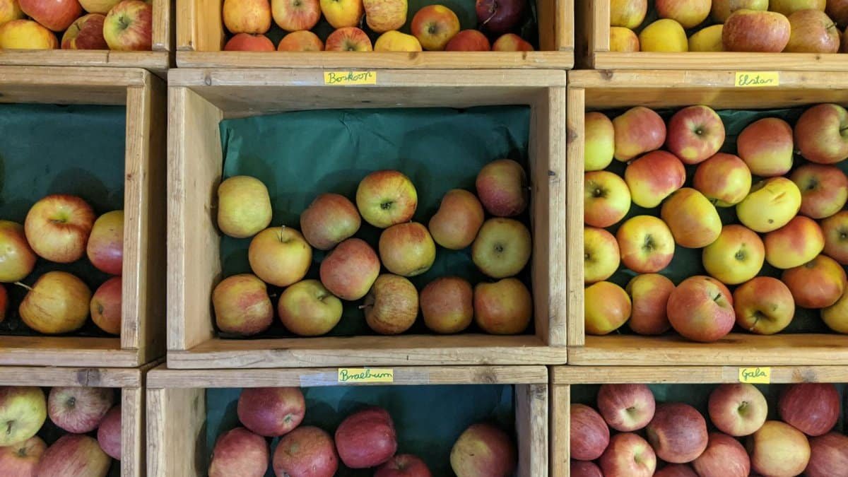 Freshly harvested apples sorted in wooden crates for sale at a local market.