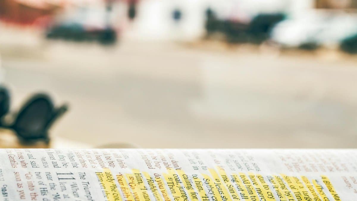 Close-up of an open Bible with highlighted text, blurred background for copyspace.