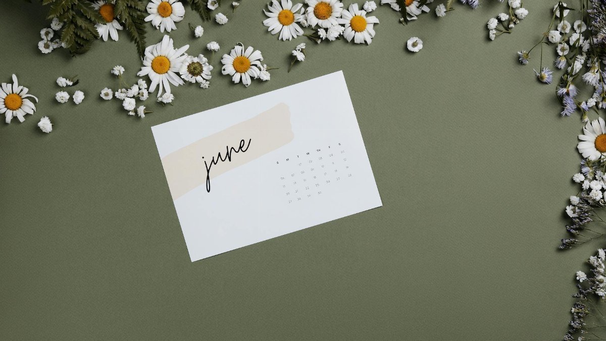 Aesthetic flat lay of a June calendar surrounded by white daisies on olive background.