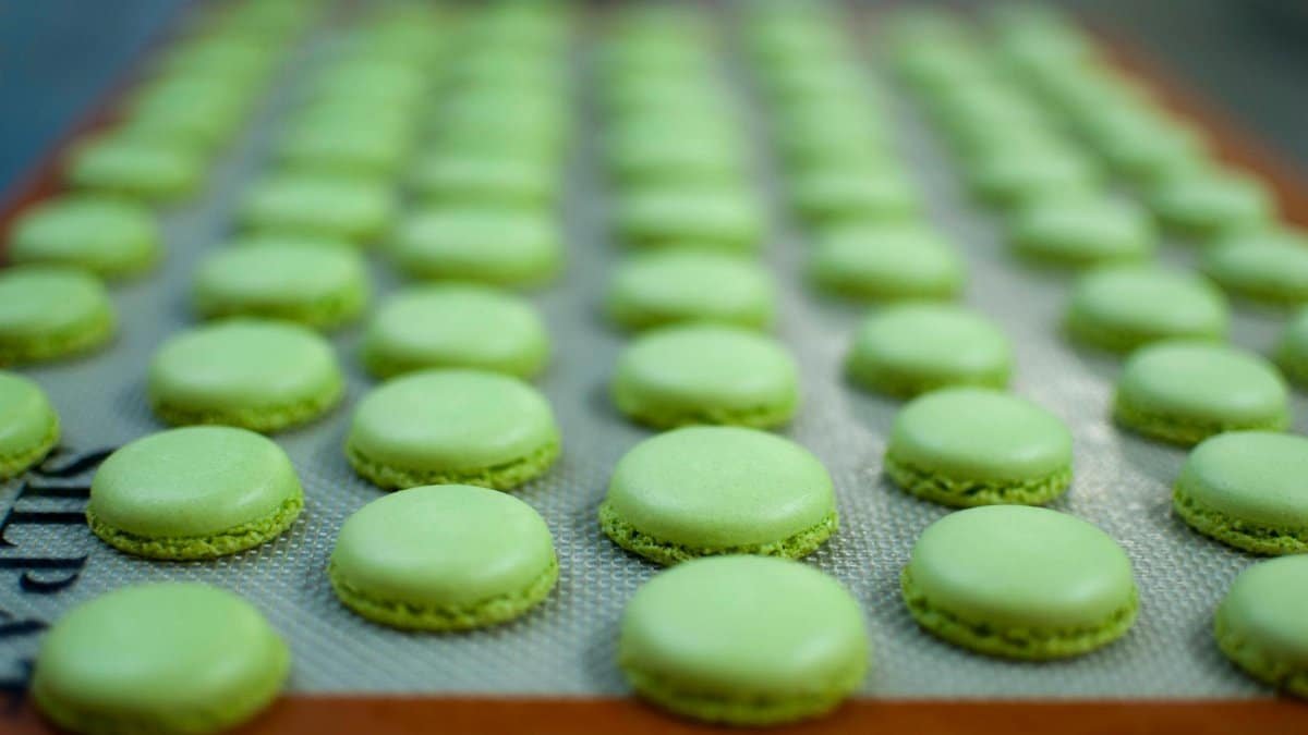Freshly baked green macarons displayed on a baking sheet, showcasing culinary precision.