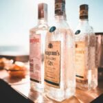 Chilled bottles of gin and vodka on a sunlit outdoor table, ideal for a summer celebration.